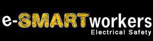 e-SMARTworkers