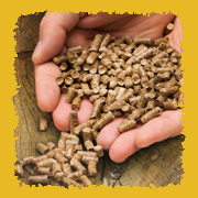 Wood pellets