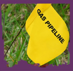 Gas pipeline flag